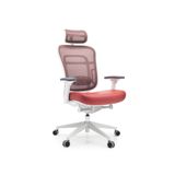 Ivo Office Passion Çalışma | Oyuncu | Ofis | Yönetici | Makam Koltuğu (kırmızı deri)