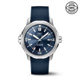 IWC IW328801 Erkek Kol Saati