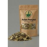ixirciyusuf Aslan Pençesi Otu (Aslan Ayağı Otu – Testere Dişli) Kurutulmuş Bitki Çayı 100 G – Doğal - 100 gr