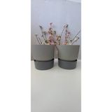 Ixora 9 cm Saksı Genişlik 9 cm Yükseklik 9 cm ( 400 ml ) 2 Adet - Gri