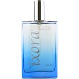 Ixora Fort E285 EDP 100 ml Erkek Parfüm