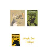 İyi Kalpli Küçük Tavşan (Karton Kapak) + Dünyanın Merkezine Yolculuk + Siyah İnci Hediye