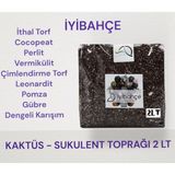 İyibahçe 2 lt Kaktüs-Sukulent Toprağı İthal Torf ve Doğal Gübre İçeren Özel Karışım