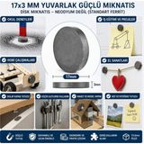 İyisi Var Mıknatıs 17X3 mm Yuvarlak Güçlü Mıknatıs Disk Mıknatıs - Çok Renkli