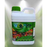 İyonya Organik Sıvı Gübre 5 Lt