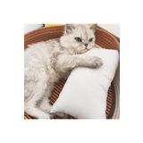 İz Concept İz Prime Kedi Köpek Yastığı Uyku Yastığı 20x30 cm Silikon Dolgu 130gr