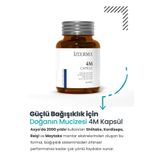 izderma 4m Kapsül (ahcc Shiitake Mantarı, Reishi Mantarı Içeren Takviye Edici Gıda )