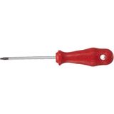 İzeltaş 4776180025 TR 25 Delikli Torx Uçlu Tornavida