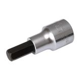 İzeltaş 5 mm 1/4" Allen Uçlu Lokma