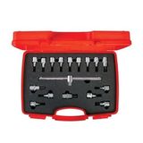 İzeltaş Lokmalı Allen Uç ve Star Torx Uç Takımı 17 Parça 1113006017