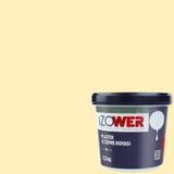 İzower Plastix Acıbadem 10 3.5 kg İç Cephe Duvar Boyası