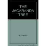 Jacaranda Tree