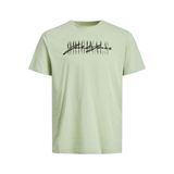 Jack & Jones 12205668 Yeşil Erkek T-shirt