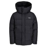 Jack & Jones 12238881 Siyah Jortwice Erkek Günlük Mont