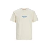 Jack & Jones 12255557 Erkek T-shirt