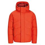 Jack & Jones 12259850-DRAGON-FIRE Jhworld Puffer Kırmızı Erkek Mont