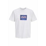 Jack & Jones 12288097 Raın Logo Erkek Tişört