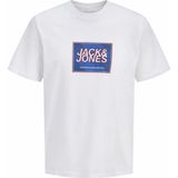 Jack & Jones 12288097 Raın Logo Erkek Tişört