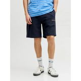 Jack & Jones 12292565 Stkarı Norrebro Loose Fit Erkek Şort