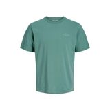Jack & Jones Baskılı Erkek Çocuk T-Shirt, 12 Yaş, 5003340908, Mavi, Erkek Çocuk