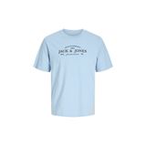 Jack & Jones Baskılı Mavi Erkek Çocuk T-Shirt 12298339
