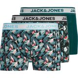 Jack & Jones Bird Leaves Erkek 3'lü Boxer (12291168-BDT) - Renkli