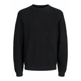 Jack Jones Blaconnor Regular Fit Bisiklet Yaka Erkek Kazak 12301707