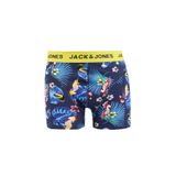 Jack & Jones Boxer 3'lü Paket Flower Bird Desenli, S, 5003221702, Lacivert, erkek