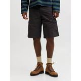 Jack Jones Cole Matty Relaxed Fit Erkek Kargo Şort 12292263