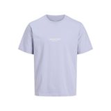 JACK & JONES Erkek Büyük Beden Baskılı Tişört Jorvesterbro Tee Ss Bisiklet Yaka Noos Pls, Cosmic Sky, 3XL