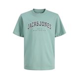 Jack & Jones Erkek Çocuk Baskılı T-Shirt, 10 Yaş, 5003293581, Mavi, Erkek Çocuk