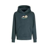 Jack & Jones Erkek Çocuk Füme Sweatshirt Jorsılverlake Sweat Hood Jnr, 12 Yaş