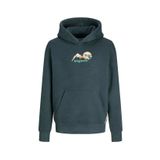 Jack & Jones Erkek Çocuk Füme Sweatshırt JORSILVERLAKE SWEAT HOOD JNR