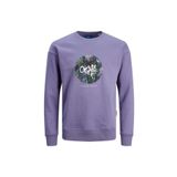 Jack & Jones Erkek Çocuk Sweatshırt JORSILVERLAKE SWEAT CREW NECK JNR, 7-10 Yaş, 5003088686, Mor, erkek-çocuk