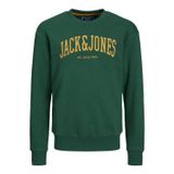Jack & Jones Erkek Çocuk Sweatshirt, Koyu Yeşil, 12 Yaş