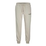 Jack & Jones Erkek Eşofman Altı 12268878, Moonbeam, M