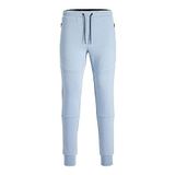 JACK & JONES Erkek eşofman altı, dar kesim, eşofman altı, Mountain Spring/Detay: melanj, L
