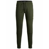 JACK & JONES Erkek eşofman altı, dar kesim, eşofman altı, Yeşil (Deep Lichen Green), XXL