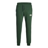 JACK & JONES Erkek eşofman altı Jpstgordon Jjnewsoft Sweat Pant Bex Noos