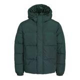 Jack Jones Erkek Essentials Jjebradley Comfort Fit Kapüşonlu Yeşil Mont 12256974Y
