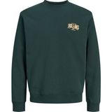 Jack & Jones Erkek Gögüs Baskili Bisiklet Yaka Sweatshirt - Aero - 00-Yeşil - 2XL