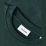 Jack & Jones Erkek Gögüs Baskili Bisiklet Yaka Sweatshirt - Aero - 00-Yeşil - M