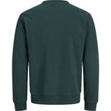Jack & Jones Erkek Gögüs Baskili Bisiklet Yaka Sweatshirt - Aero - 00-Yeşil