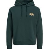 Jack & Jones Erkek Gögüs Baskili Kapüsonlu Sweatshirt - Aero - 00-Yeşil - 2XL