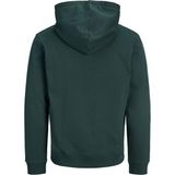 Jack & Jones Erkek Gögüs Baskili Kapüsonlu Sweatshirt - Aero - 00-Yeşil - XL