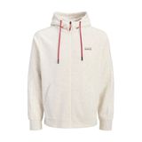 Jack & Jones Erkek Gögüs Baskili Regular Fit Kapüsonlu Yaka Sweatshirt - Kyle