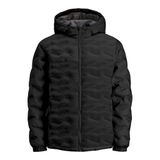 Jack & Jones Erkek JCOWIN QUILTED JACKET SMU Ceket, Siyah, L