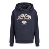 JACK & JONES Erkek Jjari Branding Sweat Hood Jnr