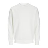 JACK & JONES Erkek Jjebradley Sweat Crew Noos, Cloud Dancer., XL