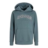 JACK & JONES Erkek Jjecaleb Varsity Sweat Hood Noos Jnr Jjecaleb Varsity Sweat Hood Noos Jnr (1'li paket), fırtına havası., 164